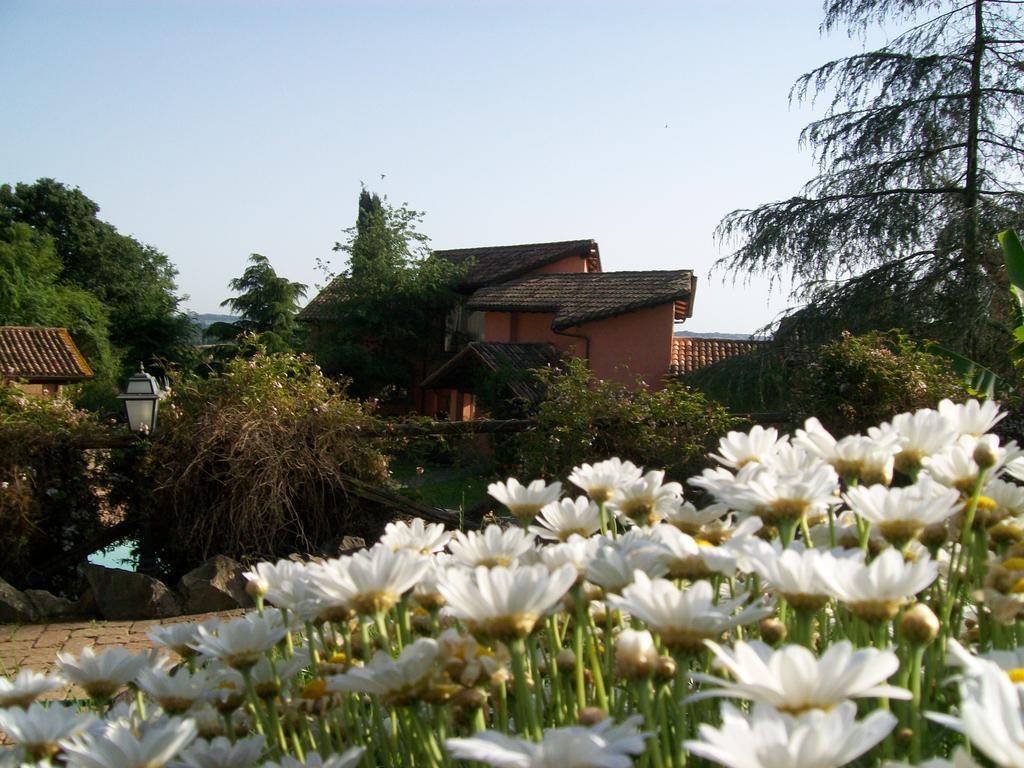 Antica Pietrara B&B Formello Exteriör bild